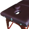 Массажный стол DFC NIRVANA Relax Pro (TS3022_B1)