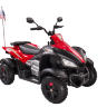 Детский квадроцикл Joy Automatic Yamaha Raptor BJ268 (красный)